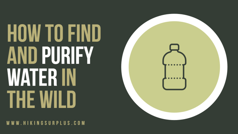 How to Find and Purify Water in the Wild